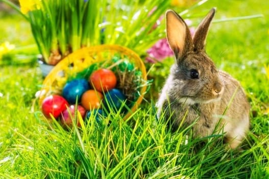 Hogyan tudunk animált és átlátszó hátterű képekre keresni a Google-val?