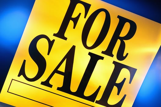 A hét legfurcsább dolog, amit az interneten eladtak