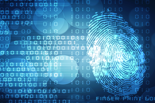 webáruház digitális identitás