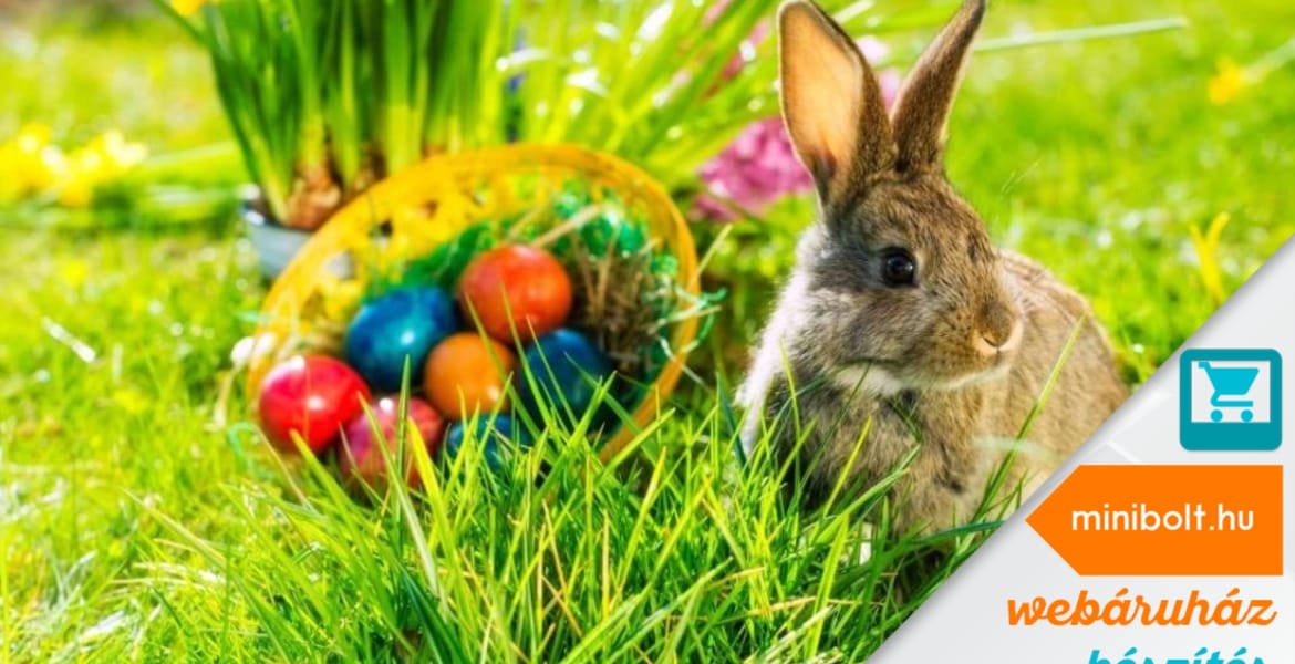 Hogyan tudunk animált és átlátszó hátterű képekre keresni a Google-val?